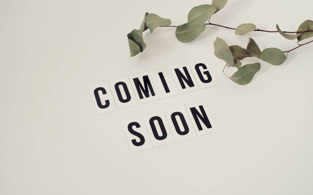 New articles coming soon